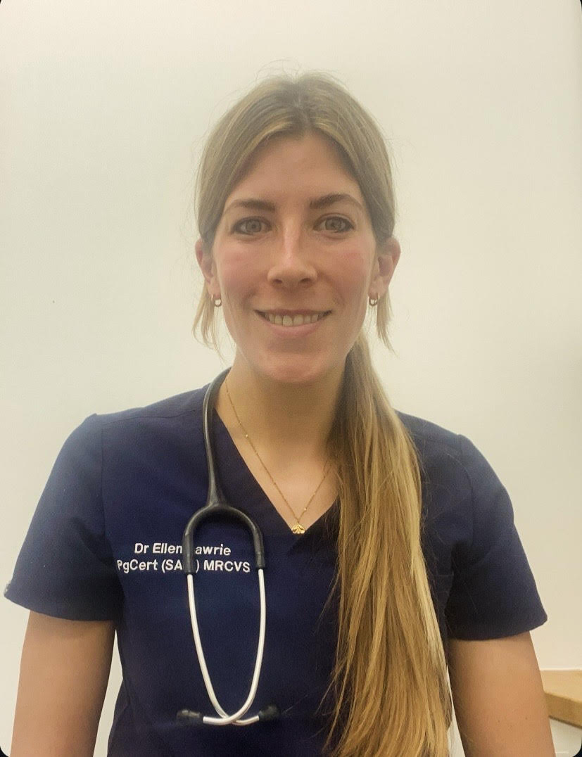 Portrait of our partnered veterinary professional