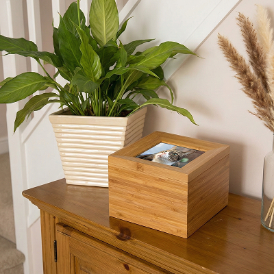 Tribute Frame photo box