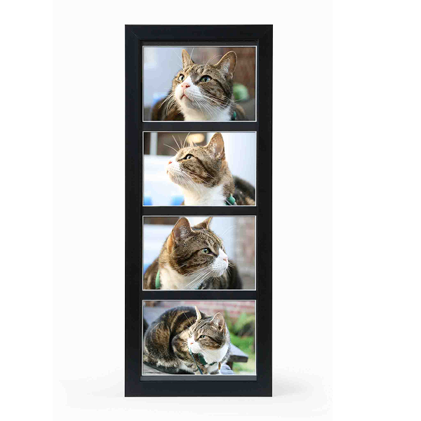 Photo frame multi